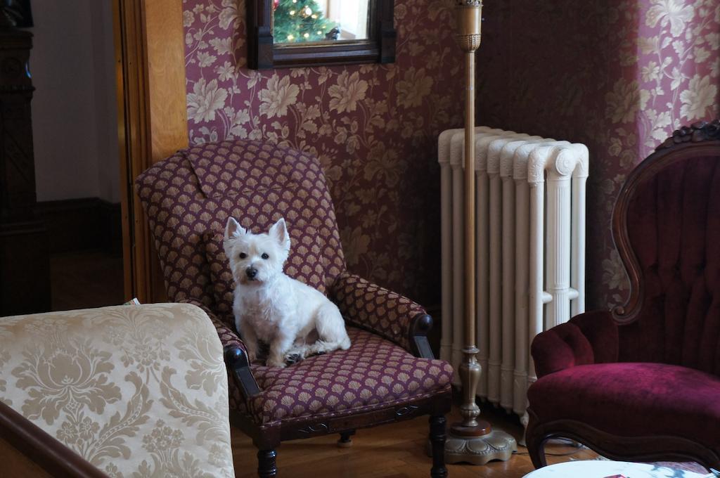 Maplecroft Bed & Breakfast Barre ภายนอก รูปภาพ